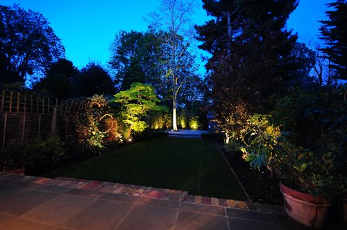 Accent lighting in garden