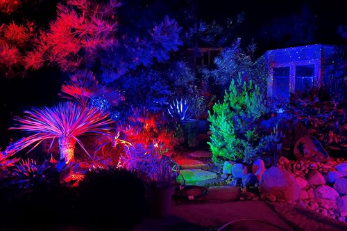RGBW garden with laser lights